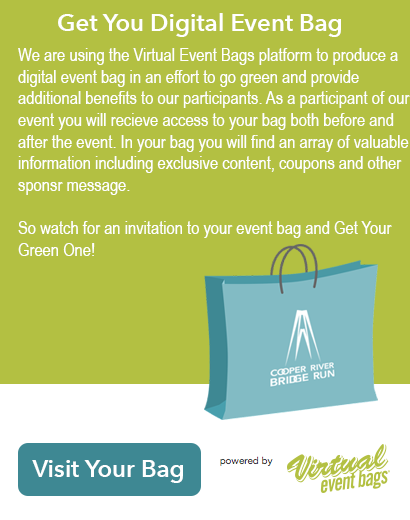 Swag Bag Gift Ideas for Virtual Events & Meetings | Brand Spirit Blog |  Swag bag, Swag, Company swag